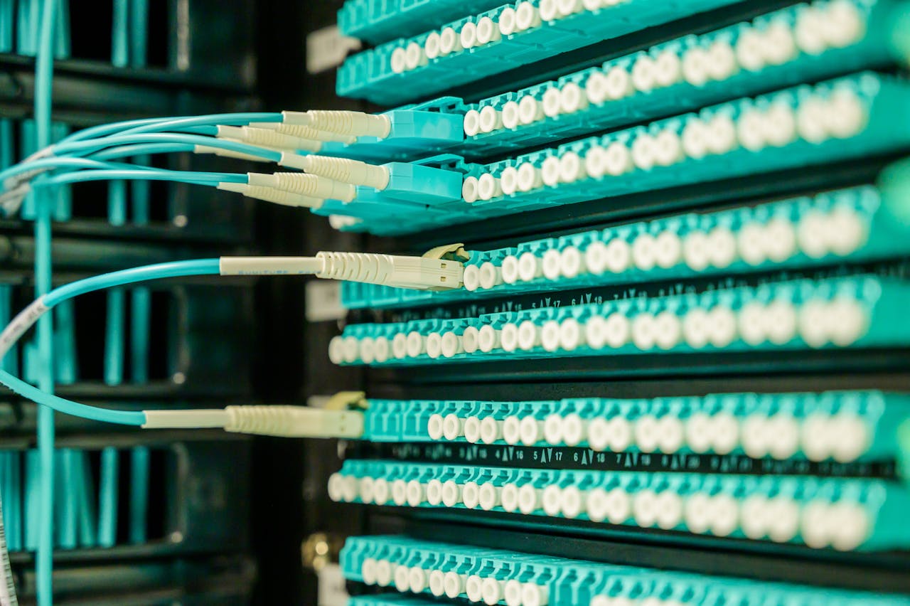 who-we-are Networking cables plugged into a patch panel, showcasing data center connectivity.